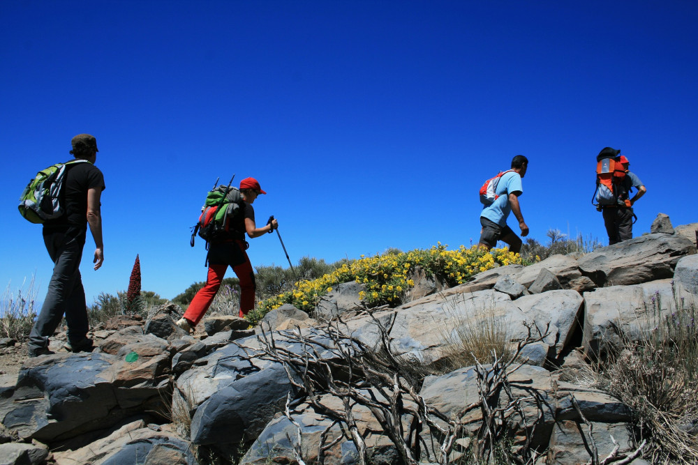 Solo Traveller Trekking in The Canary Islands