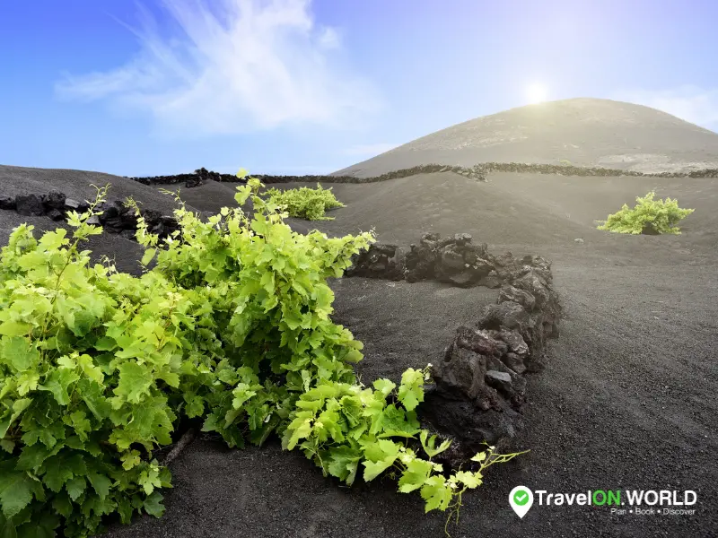 What to do in Lanzarote when it Rains