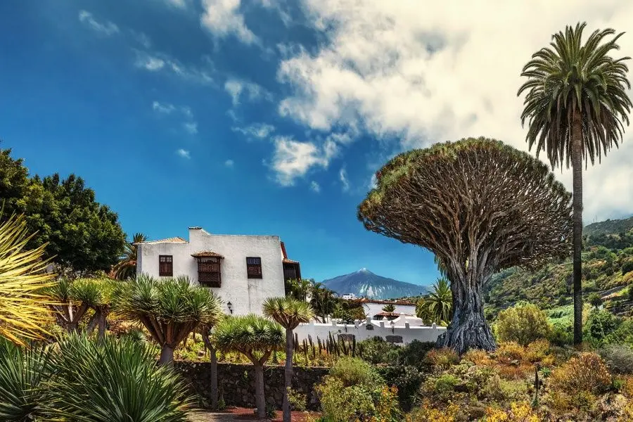 Top 10 Attractions and What to do in Tenerife