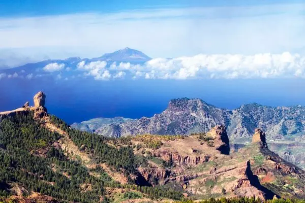Summer in Tenerife your 5 best excursions for the season