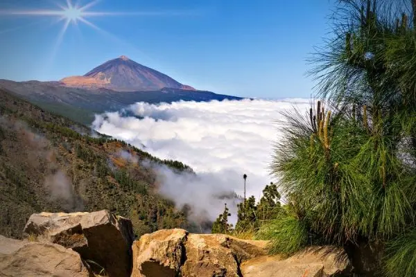 Teide Tenerife Tour (with optional cable car)