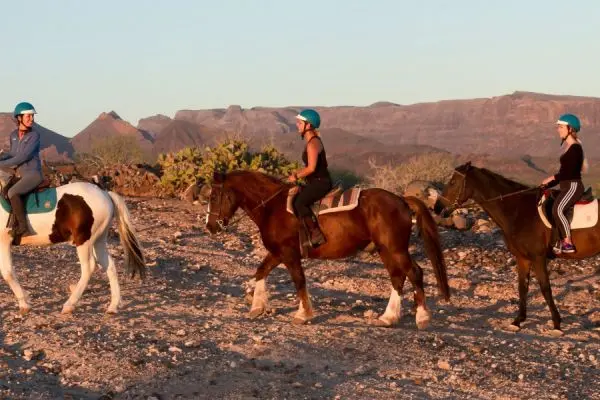 Things to do in Gran Canaria - Horse Riding Gran Canaria