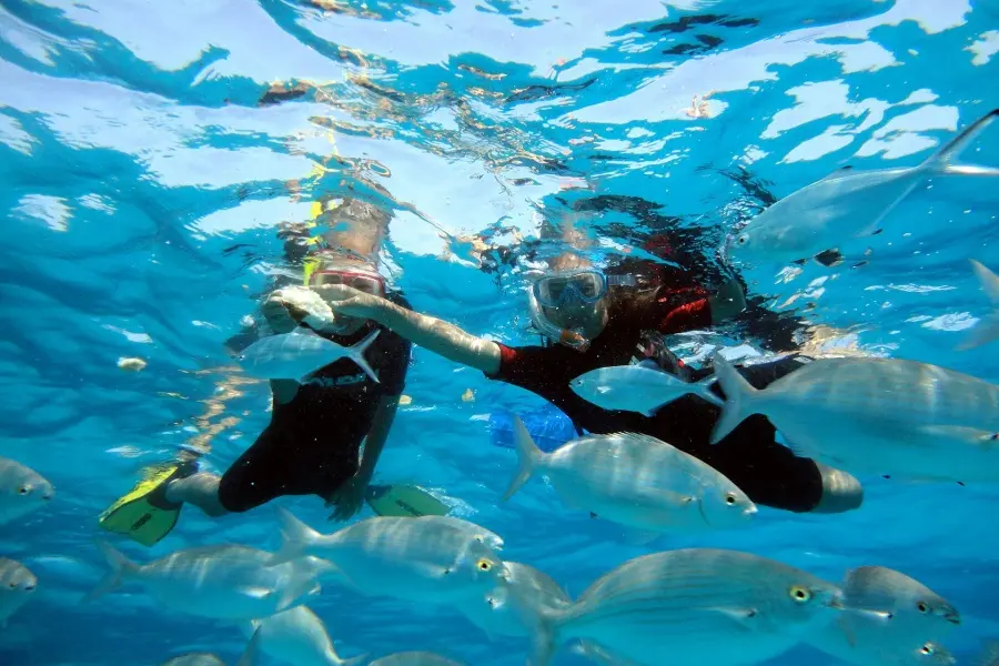 snorkelling-fuerteventura-diving_1_l