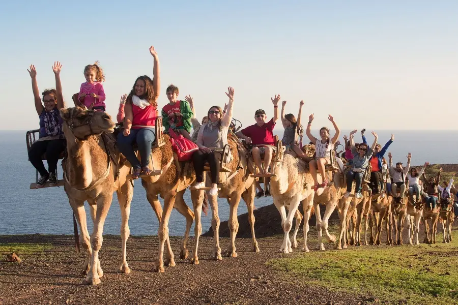 oasis-fuerteventura-with-camel-safari_1_l