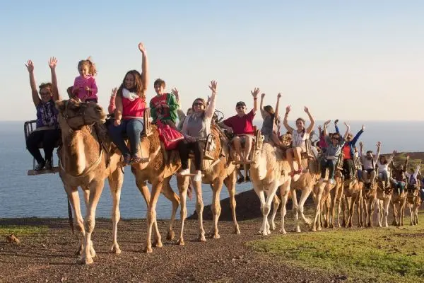 Oasis Wildlife Park Fuerteventura - with Camel Safari