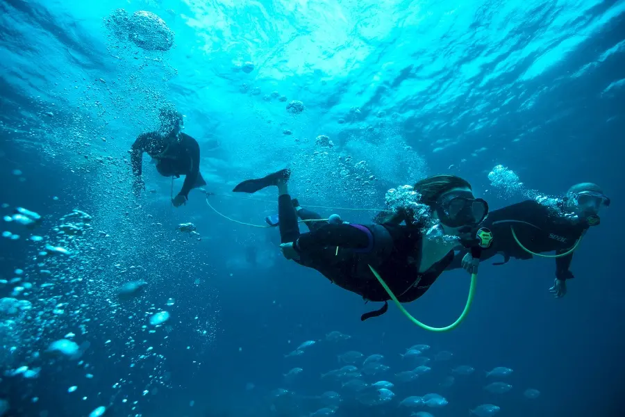 snorkelling-fuerteventura-diving_3_l
