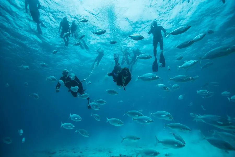 snorkelling-fuerteventura-diving_5_l