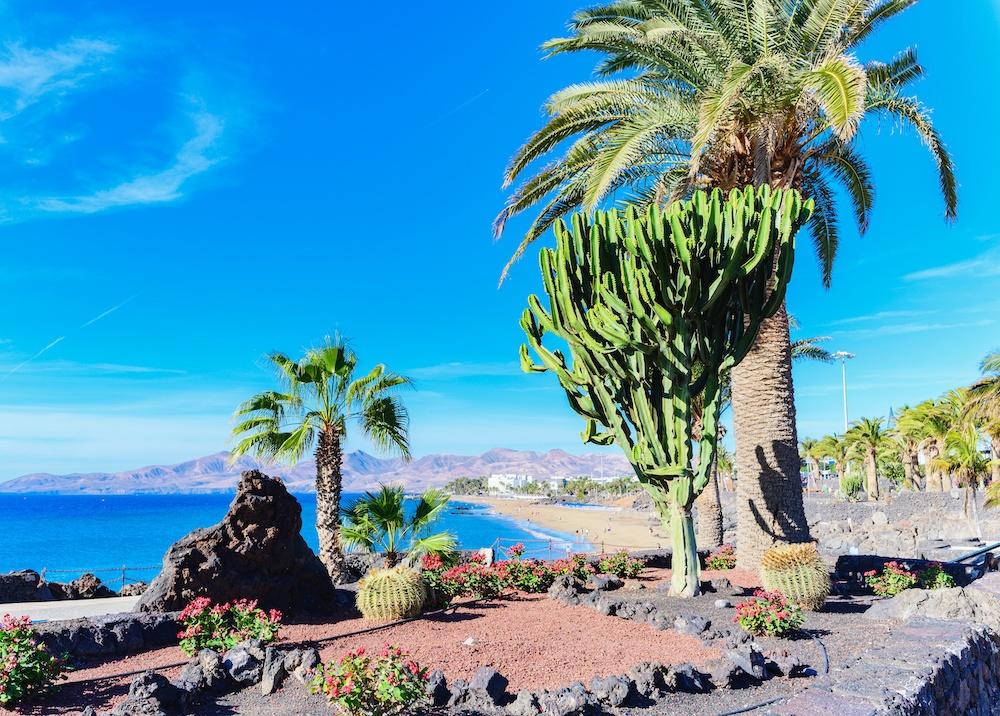 Things to do in Lanzarote 2023 - Puerto del Carmen Things to do in Lanzarote 2023 - Puerto del Carmen