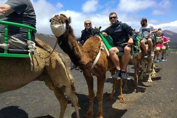Paseo en camello por Lanzarote