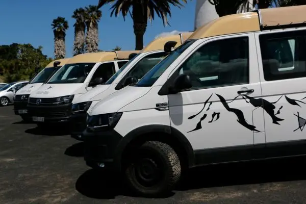 Fuerteventura Tour en jeeps al norte