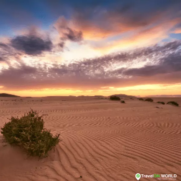 Allez sur les dunes de sable de Fuerteventura