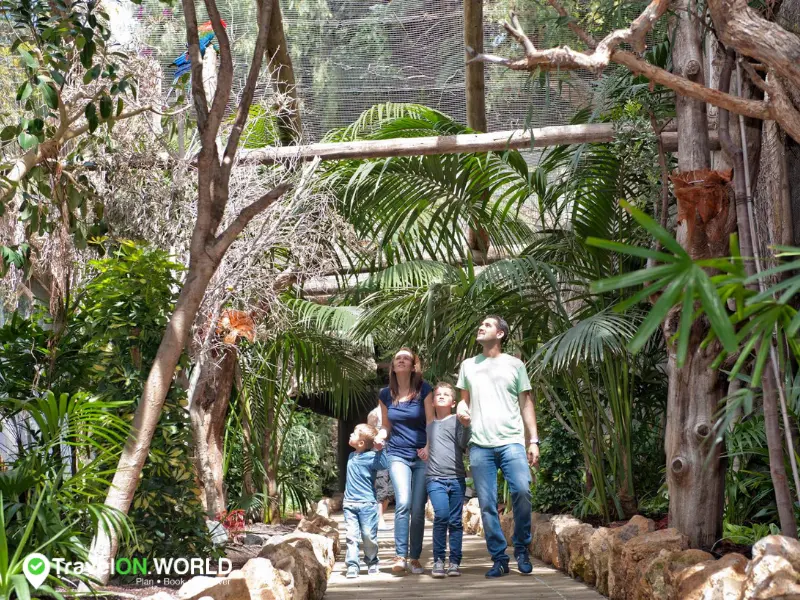 Visiter un zoo de Tenerife