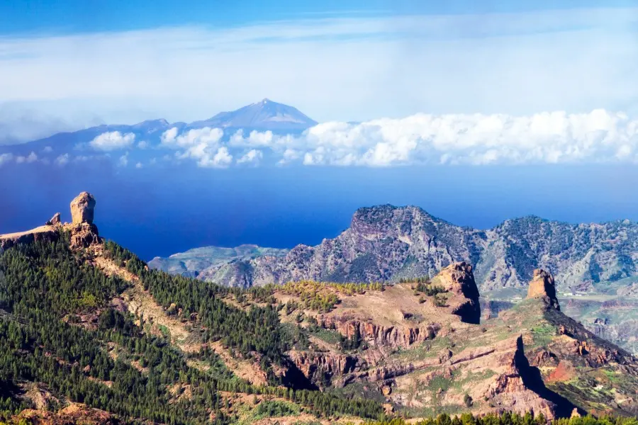 C'est dans les étoiles de Tenerife : Teide Stargazing