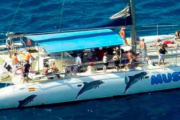 Mustcat Catamaran Tenerife 3hrs