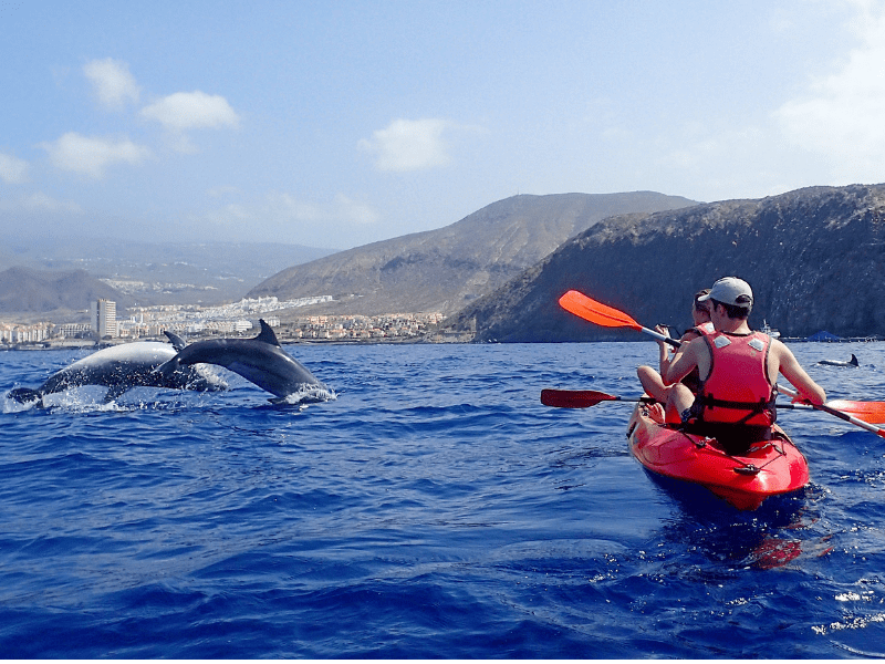 What to do in Tenerife for July to September
