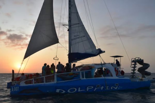 Noord: Dolphin Sunset Adventure Catamaran Cruise