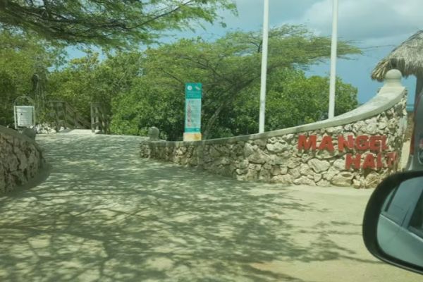 Aruba: Clear-Bottom Mangrove Forest Kayak Boat Tour