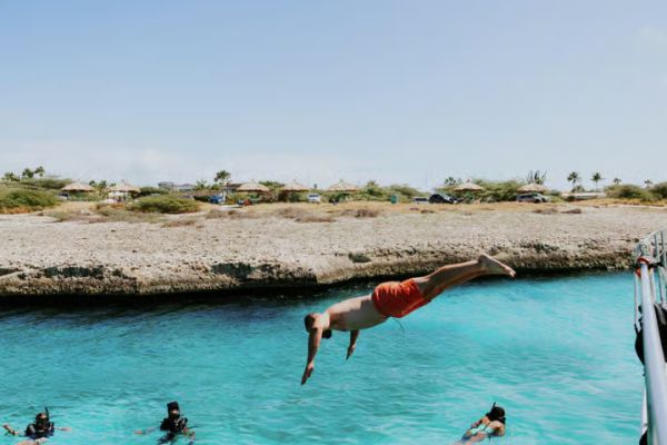 Palm Beach: Champagne Brunch and Aqua Safari