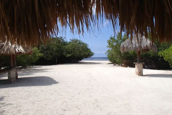 Aruba: Beach Hopping Snorkeling Tour