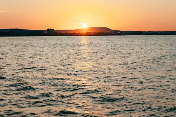 Mallorca: Midday or Sunset Sailing with Snacks and Open Bar