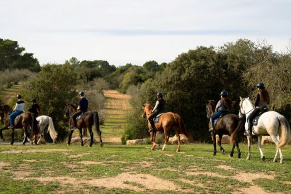 Mallorca: Guided Horseriding Tour of Randa Valley