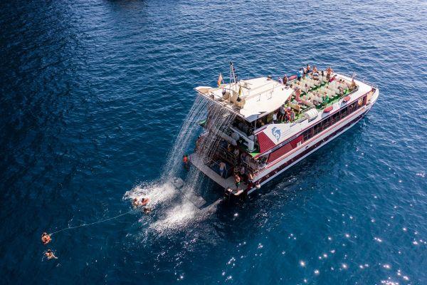 whale-watching-tenerife_1