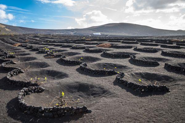 lanzarote-volcano-short-south-tour_1