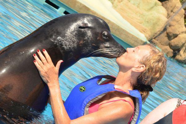 Things to do in Lanzarote - Rancho Texas Swim With Sea Lions