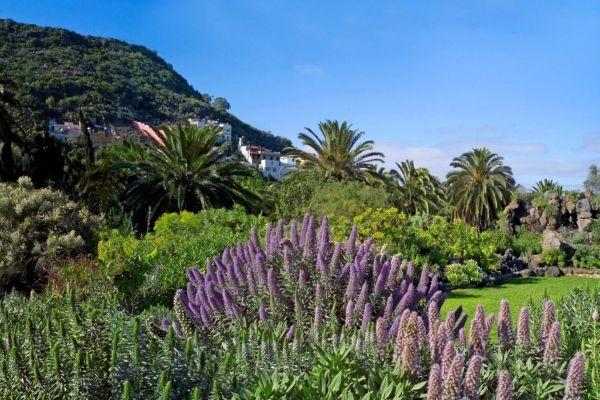gran-canaria-volcano-tour-las-palmas-and-botanical-gardens-package_1