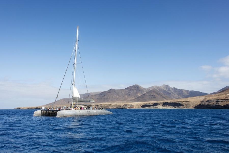 Excursions en bateau à Fuerteventura