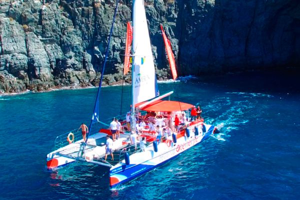 White Tenerife Catamaran