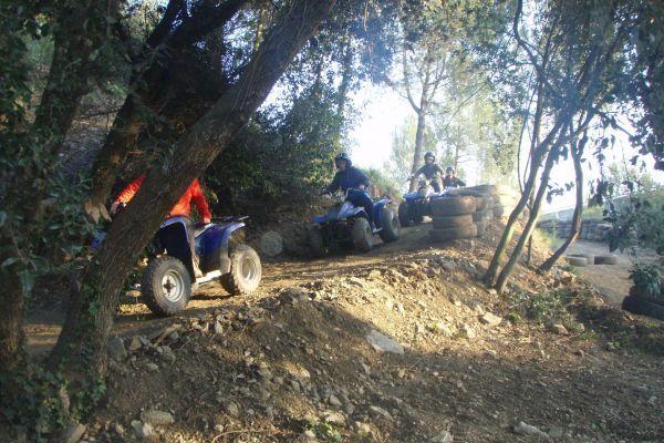 quad-safari-tenerife-forest-tour