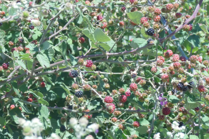 2b82fccb60db1a12d48d91356f14ccd33f70918515ba6aef0b7fd656adb2b636