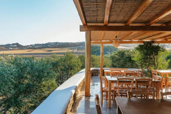 Mykonos: Winery Vineyard Experience with Food & Wine Tasting