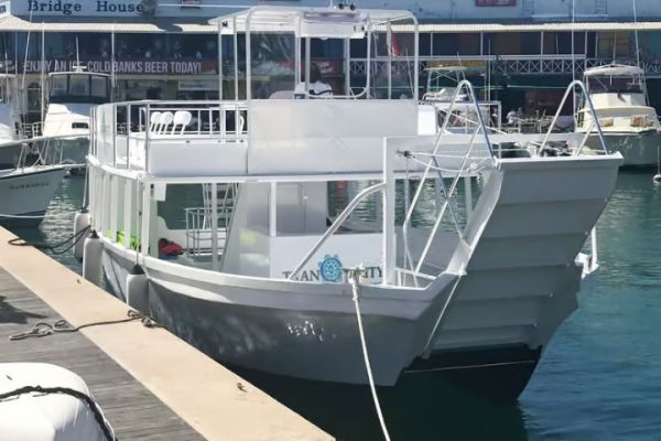 Bridgetown: Carlisle Bay Turtle and Shipwreck Boat Cruise