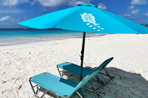 Barbados: Carlisle Bay Beach Day and Turtle Swim Experience