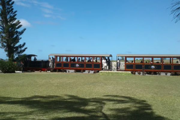 Barbados: 5.5-Hour Island Tour Plantation, Lunch and Drinks