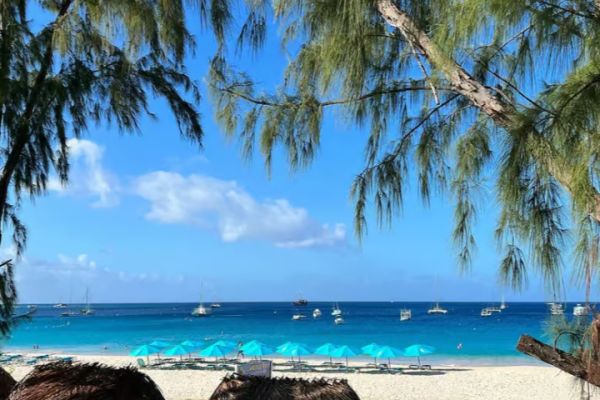 Shuttle to Carlisle Bay inclusive of beach chair