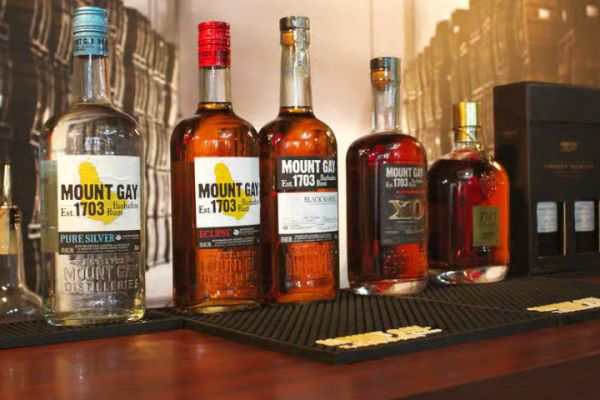 Barbados: Rum Distillery Tour and Mount Gay Visitor Center