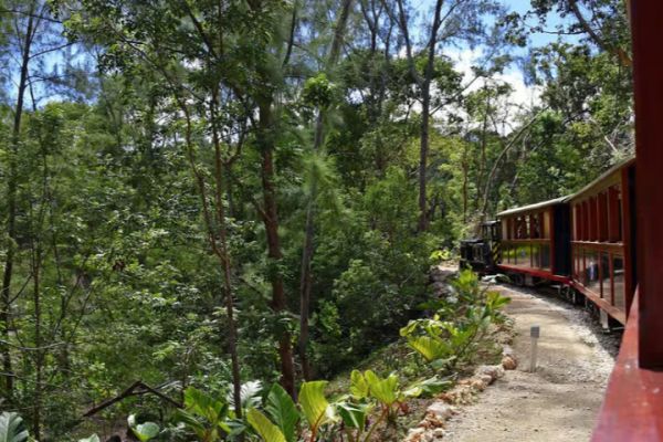 Barbados: 4 Hour Private Customized Island Tour