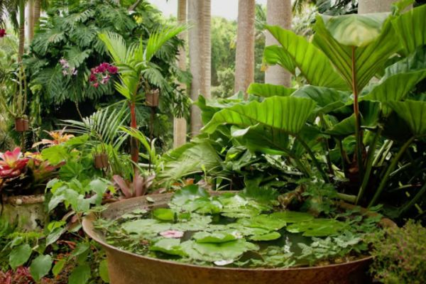 Barbados: Tour of Harrison's Cave & Hunte's Gardens