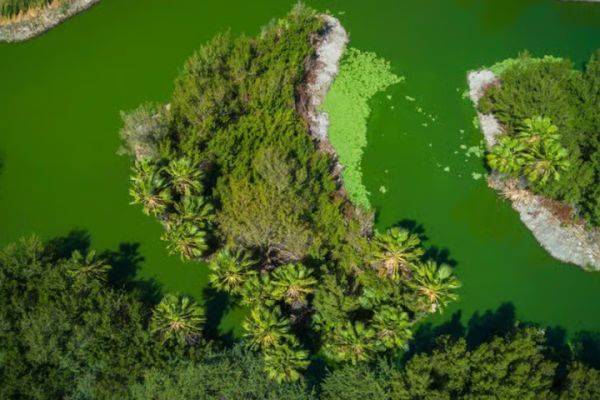 Aruba: Best of Aruba by Bus