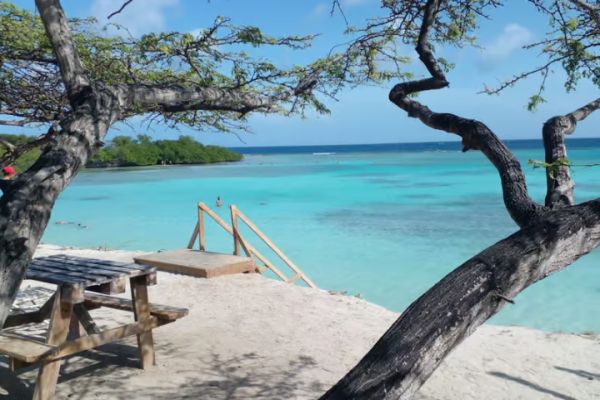 Oranjestad: Mangel Halto and Baby Beach Snorkeling Tour