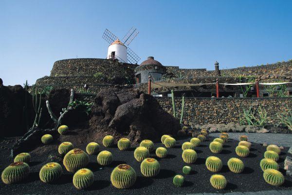 Les meilleures choses à faire à Lanzarote