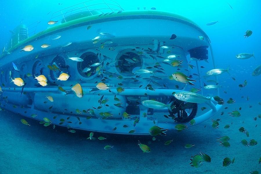 how-to-experience-the-submarine-tenerife-and-submarine-lanzarote