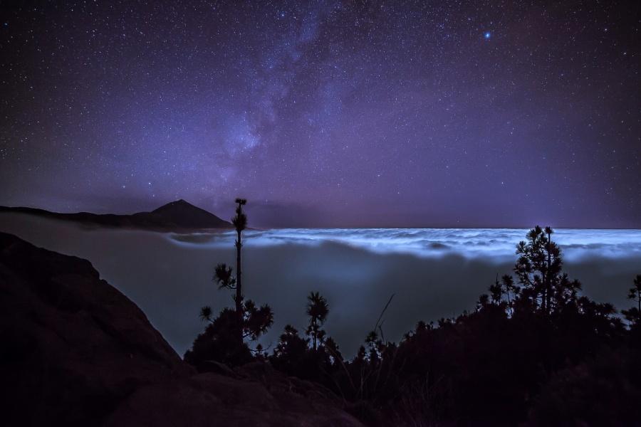 best-things-to-do-in-tenerife-at-night