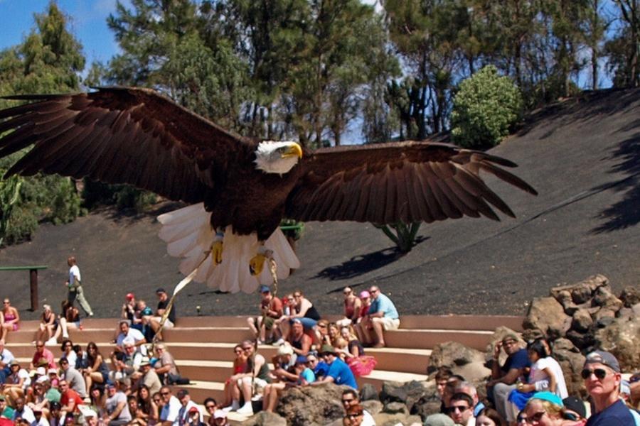 the-rancho-texas-lanzarote-and-its-new-attractions