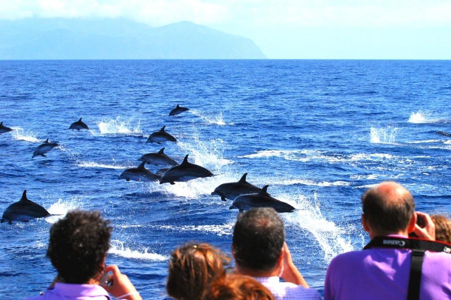 what-to-do-in-a-gran-canaria-weekend-trip