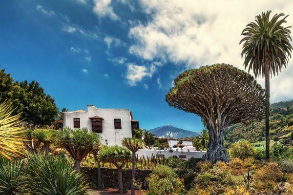 Top 10 des attractions et quoi faire à Tenerife
