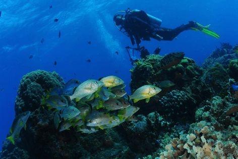 Is the Lanzarote Underwater Museum under threat of closure?